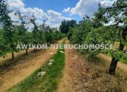Kornelówka, 1 400 000 zł, 5.67 ha, przyłącze elektryczne miniaturka 4