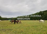 Golędzinów, 345 000 zł, 23 ar, rekreacyjna miniaturka 5