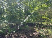 Działka budowlana 6577 m2 Radonie z MPZP miniaturka 15