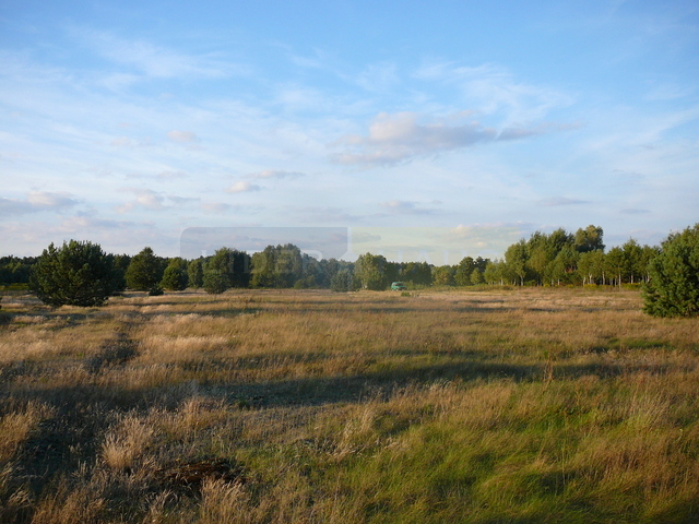 Wierzbin, 890 000 zł, 68.59 ar, rolna - zdjęcie 1