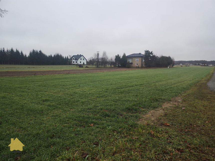 Jawidz 150 000 zł 20 ar miniaturka 4