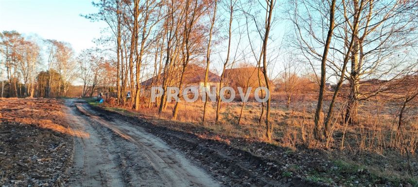 Nieruchomość gruntowa Szczecin Wielgowo Żywiczna miniaturka 9