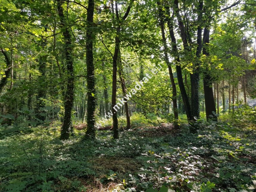 CIEKAWA działka w ścisłym centrum Podkowy L. miniaturka 6