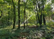 CIEKAWA działka w ścisłym centrum Podkowy L. miniaturka 6