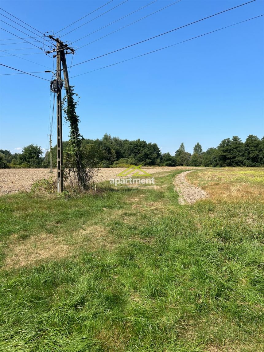 Radgoszcz, 249 000 zł, 5.32 ha, przyłącze wodociągu miniaturka 23