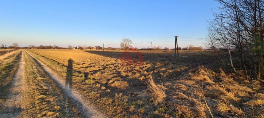 Na sprzedaż działka z domem oraz polem o dużej powierzchni w atrakcyjnej cenie. miniaturka 7