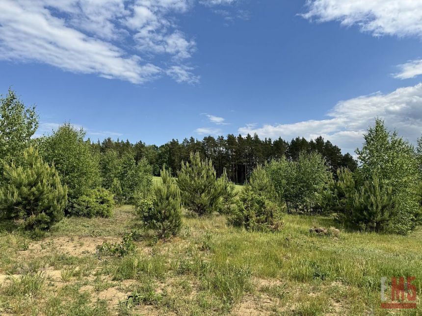 Niewodnica Kościelna, 260 000 zł, 10 ar, prostokątna miniaturka 3