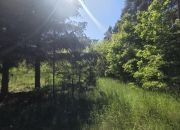 kształtna, przy bocznej uliczce, przy lesie miniaturka 8