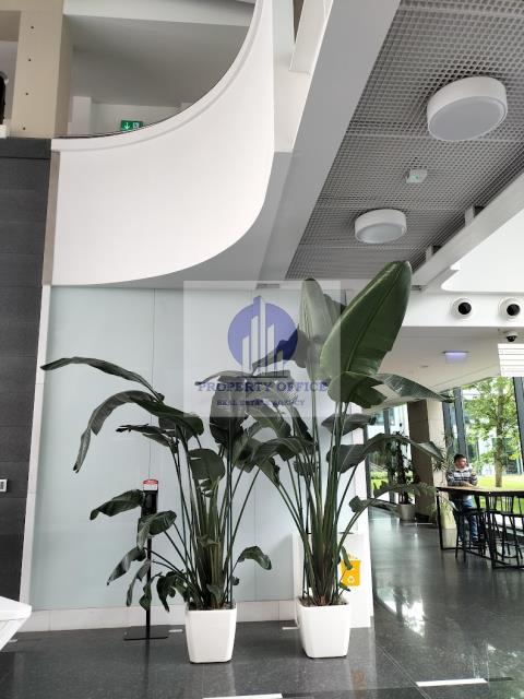 Do wynajęcia: Warszawa Ochota, biuro 413,90m2 miniaturka 11