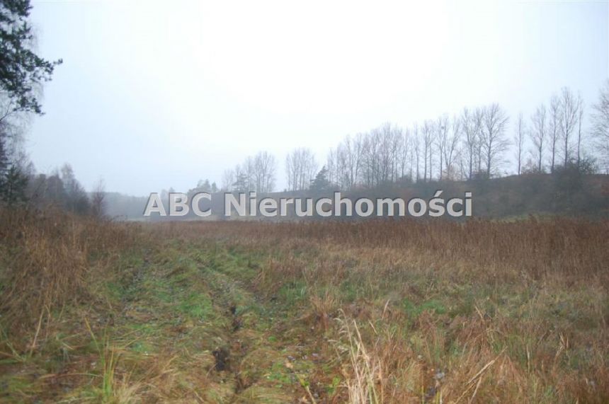 Górzna, 85 000 zł, 42 ar, przyłącze elektryczne miniaturka 6