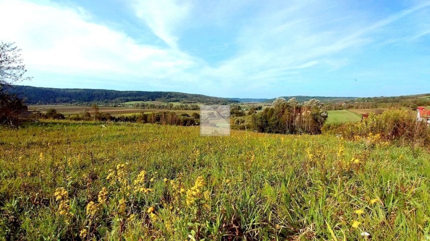 Małe Bieszczady - działka w Krzywczy miniaturka 3