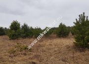 CIEKAWA OFERTA W NISKIEJ CENIE miniaturka 5