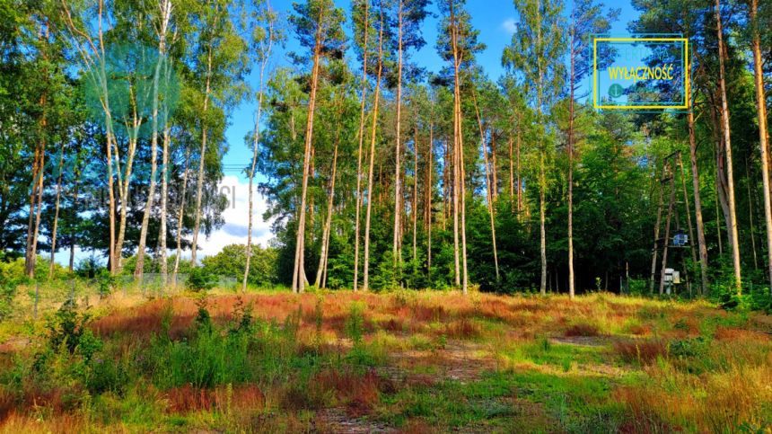 Kamień, 395 000 zł, 15.01 ar, droga dojazdowa utwardzona miniaturka 5