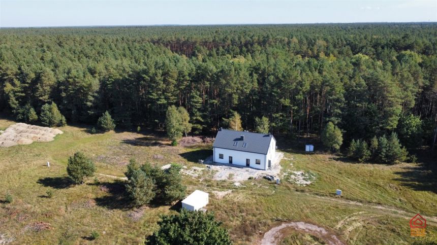 Bliźniak pięknym otoczeniu ze ścianą lasu miniaturka 11