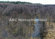 Golce, 610 000 zł, 99.69 ar, rolna z prawem zabudowy miniaturka 12