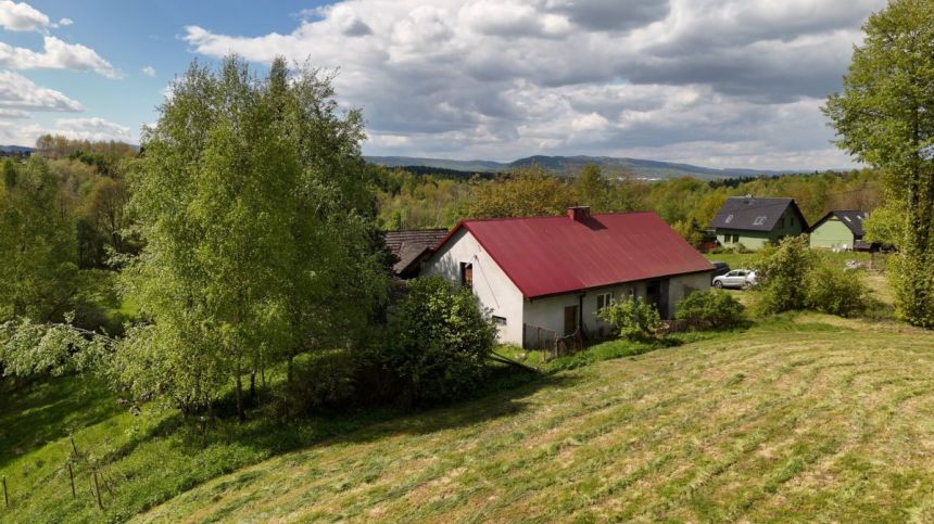 Zawada, 350 000 zł, 65 ar, przyłącze prądu miniaturka 9