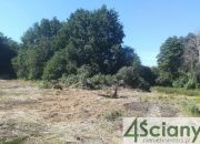 Podkowa Leśna, 6 000 000 zł, 1.8 ha, budowlana miniaturka 1