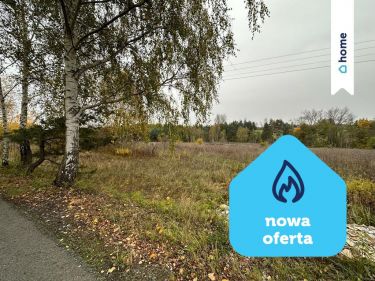 działka budowlano-usługowa Sławków