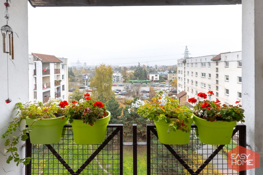 niski blok, super układ, duży balkon miniaturka 15