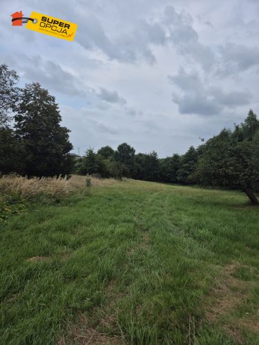 Wiśnicz Mały, 130 900 zł, 1.54 ha, rolna