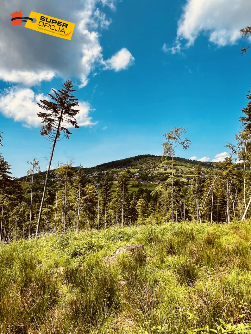 Zawoja Przysłop, 3 500 000 zł, 206 m2, wolnostojący miniaturka 7