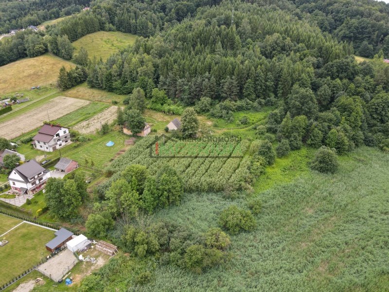 Roztoka-Brzeziny, 370 000 zł, 130 m2, wolnostojący miniaturka 7