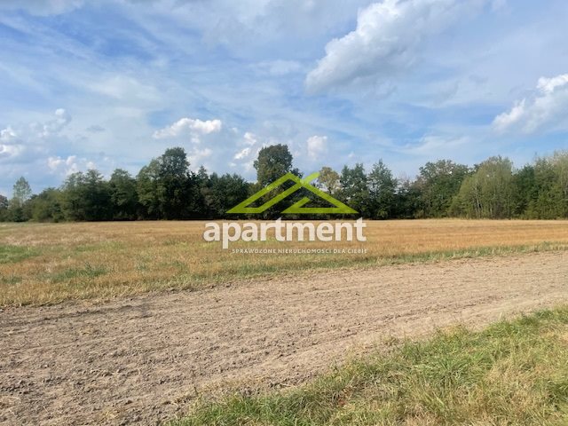 Radgoszcz, 249 000 zł, 5.32 ha, przyłącze wodociągu miniaturka 24