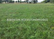 Holendry Baranowskie, 257 180 zł, 18.37 ar, woda w drodze miniaturka 11