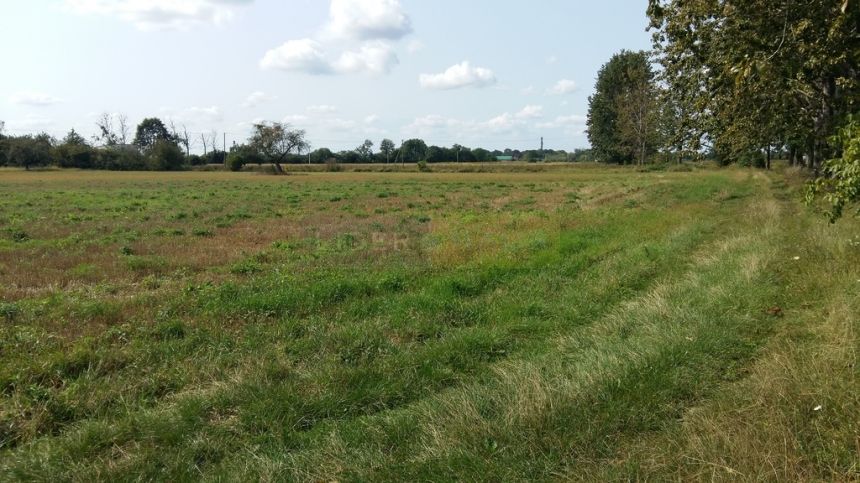 Leszno, 360 000 zł, 30 ar, prostokątna miniaturka 2