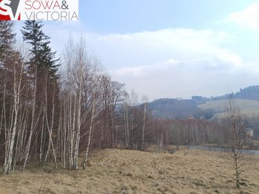 Działka budowlana przy lesie
