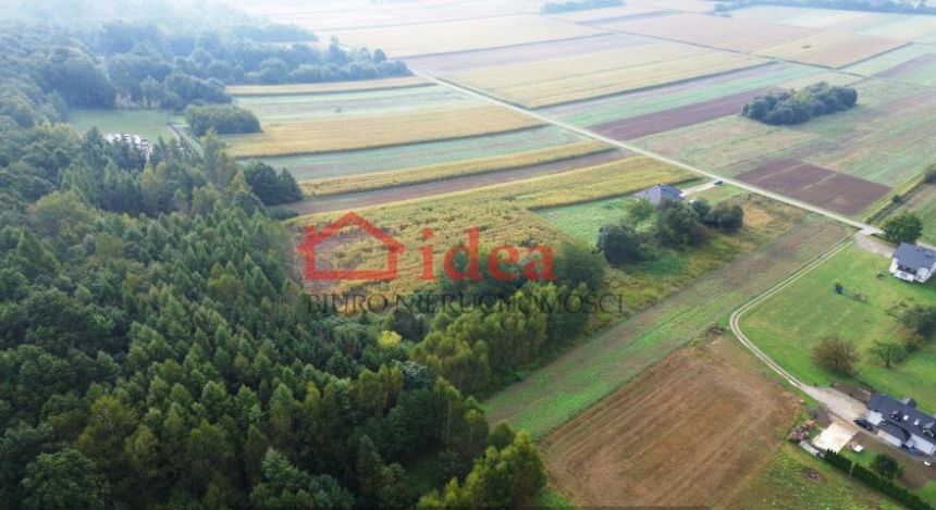 Turze Pole, 99 000 zł, 50 ar, przyłącze wodociągu miniaturka 4