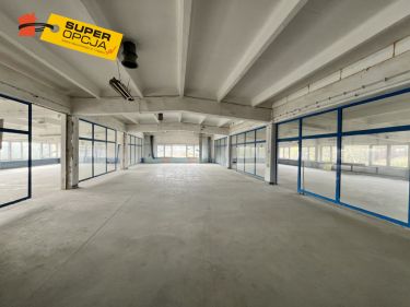 Olkusz Stary Olkusz 16 000 zł 1000 m2