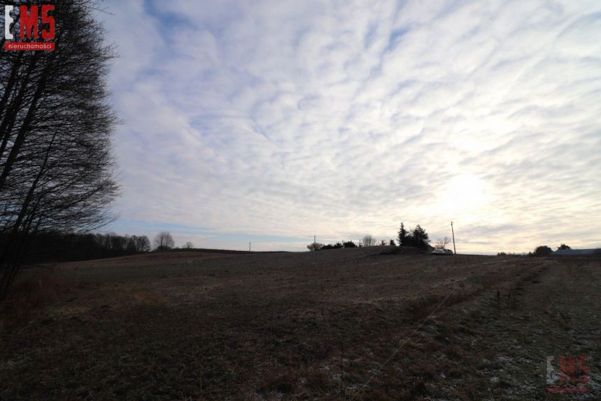 Krucieniszki, 140 000 zł, 80.04 ar, rolna - zdjęcie 1