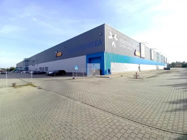 Oferta Wynajmu Nowoczesnej Hali Magazynowej/Młyny/