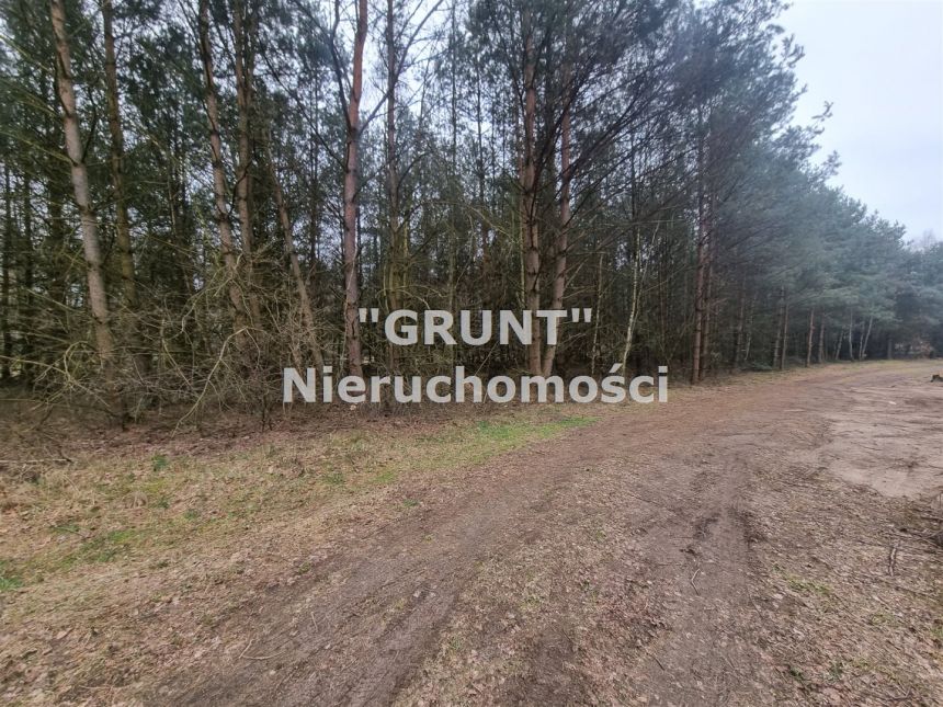Działka budowlana idealna na "parterówkę" miniaturka 8