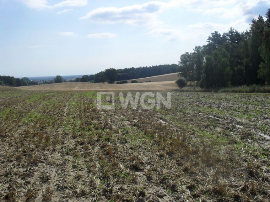 Kurów Mały, 570 000 zł, 1.9 ha, bez nasadzeń miniaturka 3