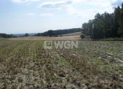 Kurów Mały, 570 000 zł, 1.9 ha, bez nasadzeń miniaturka 3