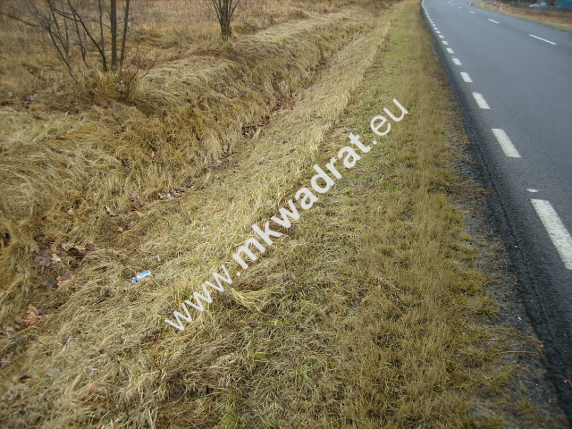 Puszcza Mariańska, 207 000 zł, 50 ar, prostokątna miniaturka 2