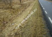 Puszcza Mariańska, 207 000 zł, 50 ar, prostokątna miniaturka 2