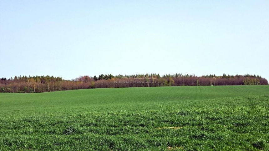Działka budowlana, 900m2 od jeziora miniaturka 7