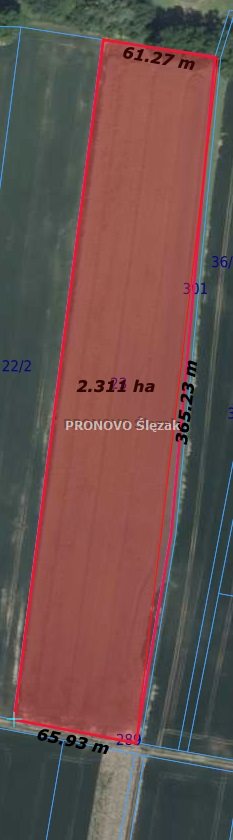 Sprzedam pole orne 2,4 ha –Wilczyn, pow.Trzebnica