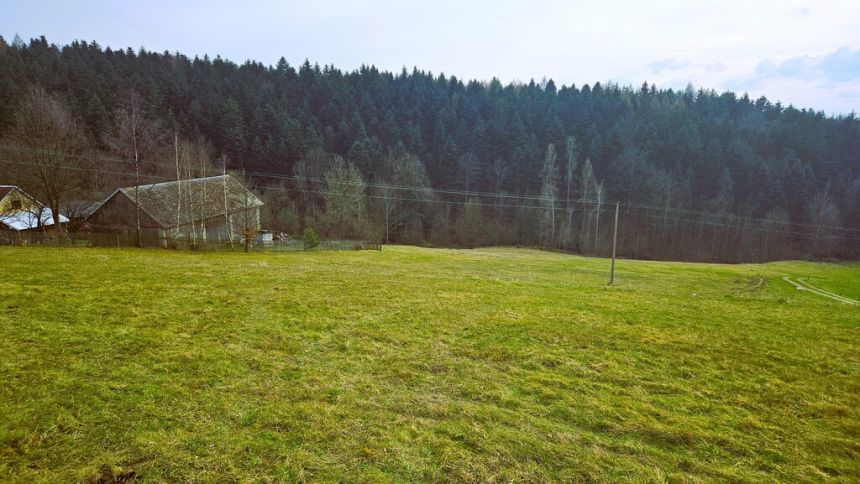 Działka siedliskowa- 99 arów- Beskid Sądecki miniaturka 2