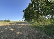 Działka z W.Zabudowy w Radzanku –Gm.Maszewo miniaturka 7