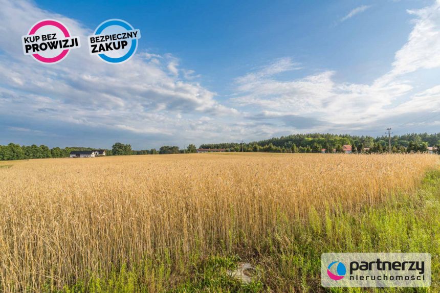 Chwaszczyno, 310 500 zł, 10 ar, rolna miniaturka 5