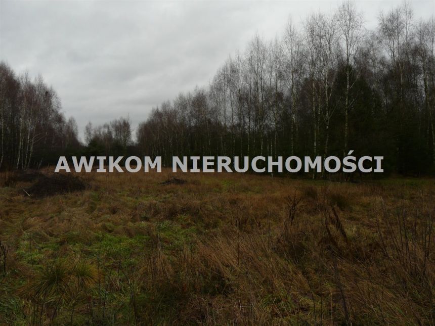 Skierniewice, 138 258 zł, 1.54 ha, rolna miniaturka 3