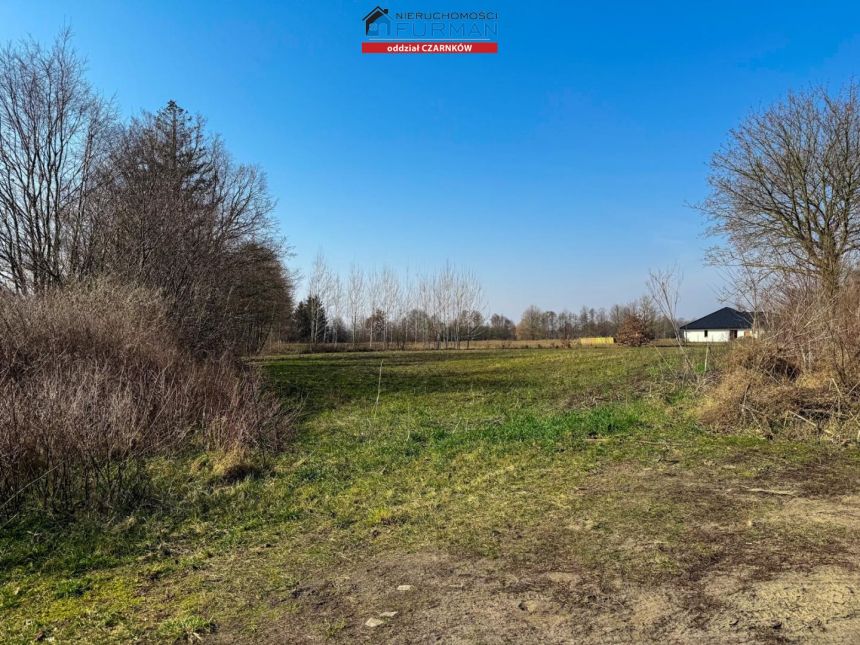 Siedlisko, 57 000 zł, 33 ar, rolna miniaturka 4