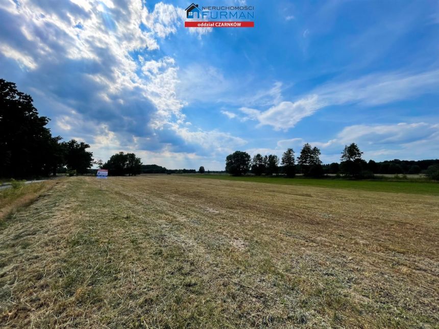 Biernatowo, 83 000 zł, 24.62 ar, budowlana miniaturka 5