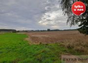 Trzebawie, 380 000 zł, 10.8 ha, droga dojazdowa asfaltowa miniaturka 3