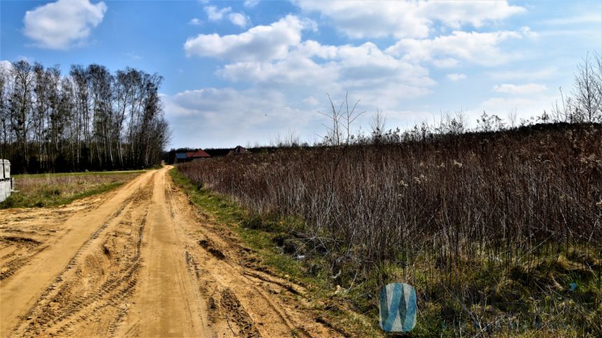 Ludwikowo, 1 049 400 zł, 1.98 ha, droga dojazdowa utwardzona miniaturka 5
