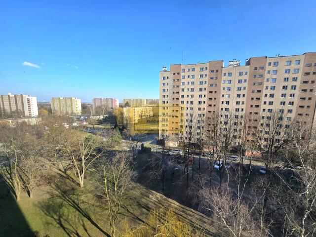 Przestronne, rodzinne mieszkanie, ul. Wallenroda miniaturka 13